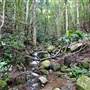 Jamberoo