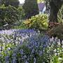 Bowral - Southern Highlands