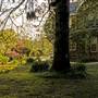 Bowral - Southern Highlands