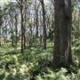 Bowral - Southern Highlands