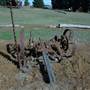 Braidwood