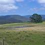 Braidwood surrounds