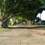 Briemba St, Grafton