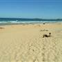 Narrabeen