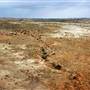 Broken Hill Area (Inc. Silverton)