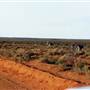 Broken Hill Area (Inc. Silverton)
