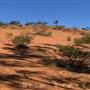 Broken Hill Sand Dunes