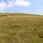 Brooks Point