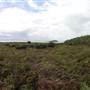 Broughton Island