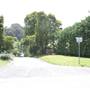 Burrawang - Southern Highlands