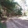 Canobolas State Forest / Recreation Area