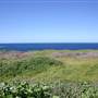 Cape Banks