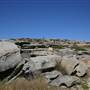 Cape Banks