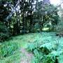 Canyon Park
