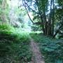Canyon Park