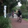 Cape Byron
