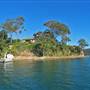 Careel Bay