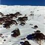 Charlotte Pass