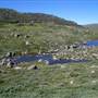 Charlotte Pass