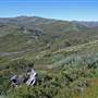 Charlotte Pass