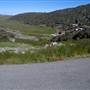 Charlotte Pass