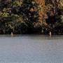 Coffs Harbour