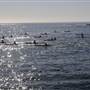 Coffs Harbour
