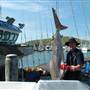 Coffs Harbour