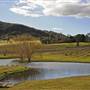 Coolangatta Estate