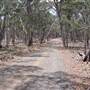Coolah Tops National Park