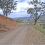 Coolah Tops National Park