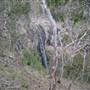 Coolah Tops National Park