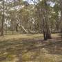 Coolah Tops National Park