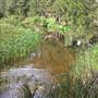 Cox's River at Duddawarra Bridge