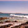 Crescent Head
