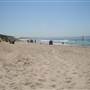 Cronulla Beach