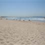 Cronulla Beach