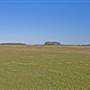 Crops near Ballina