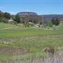Crops/Farms - Central West