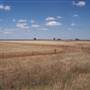 Crops/Farms - Central West