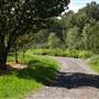 Crystal Creek Meadows