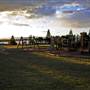Culburra Beach