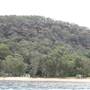 Currawong Beach Cottages