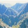 Dorrigo National Park