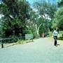 Dorrigo National Park