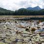 Northern Rivers Region