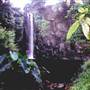 Northern Rivers Region