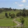 Calmsley Hill City Farm