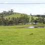 Calmsley Hill City Farm