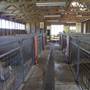 Calmsley Hill City Farm